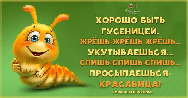 Как писать про еду в дзене: подборка удачных примеров и инструкция. читайте на cossa.ru