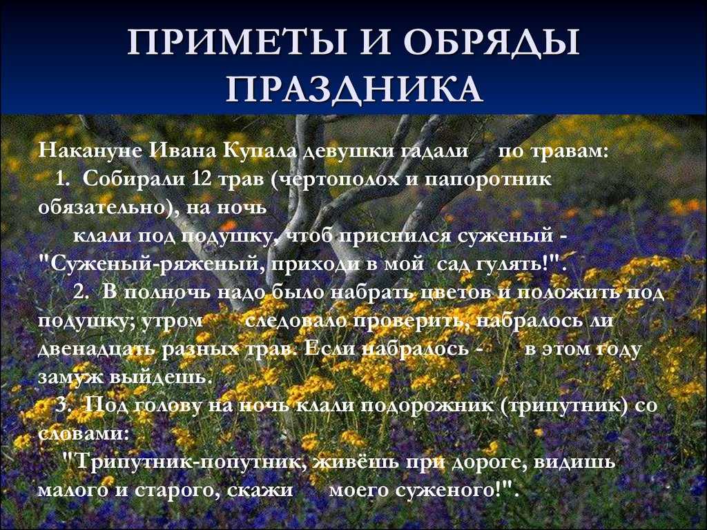 Праздник ивана купала: обычаи и традиции