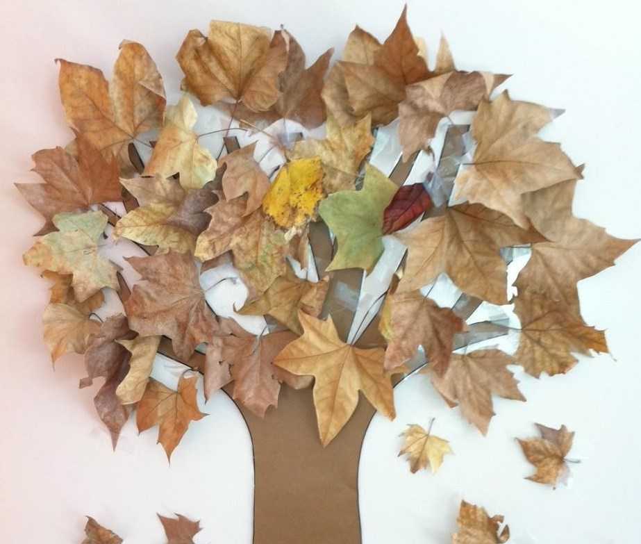 Поделки из кленовых листьев и семян-вертолетиков на тему осень для детского сада и школы. как сделать венок, букет, корону из листьев клена своими руками?