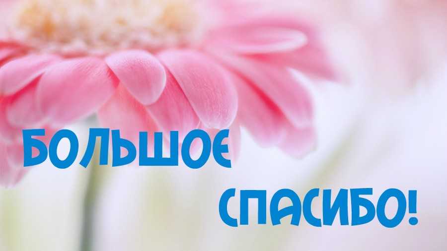 Текст благодарности волонтерам | sgroup62.ru
текст благодарности волонтерам — sgroup62.ru