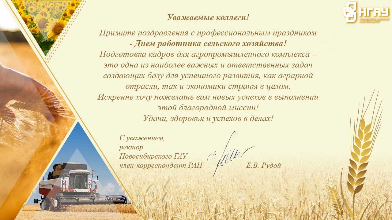 День работников сельского хозяйства отмечается в россии 13 октября 2019 года с поздравлениями в стихах и прозе и на открытках