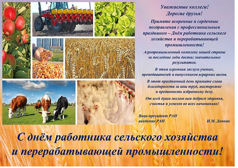 Душевные  поздравления с днем работника сельского хозяйства — 12 поздравлений — stost.ru  | поздравления перерабатывающей промышленности. страница 1