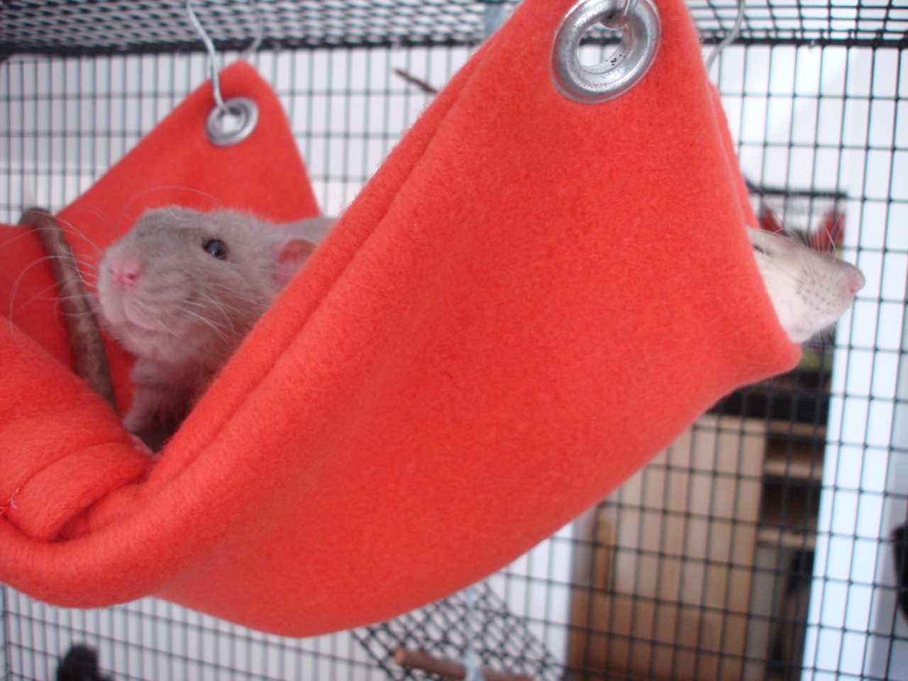 Гамак для крысы - быстро и легко шьем своими руками