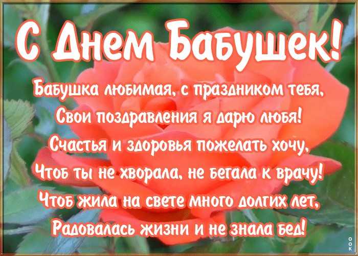 Поздравления бабушке с днем рождения от внука | поздравим всех!