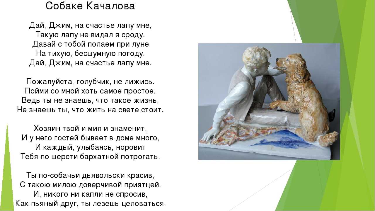 Краткий анализ стихотворения есенина «собаке качалова» по плану