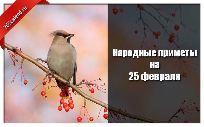 Русские народные приметы, обряды, обычаи, традиции и праздники на декабрь 2021