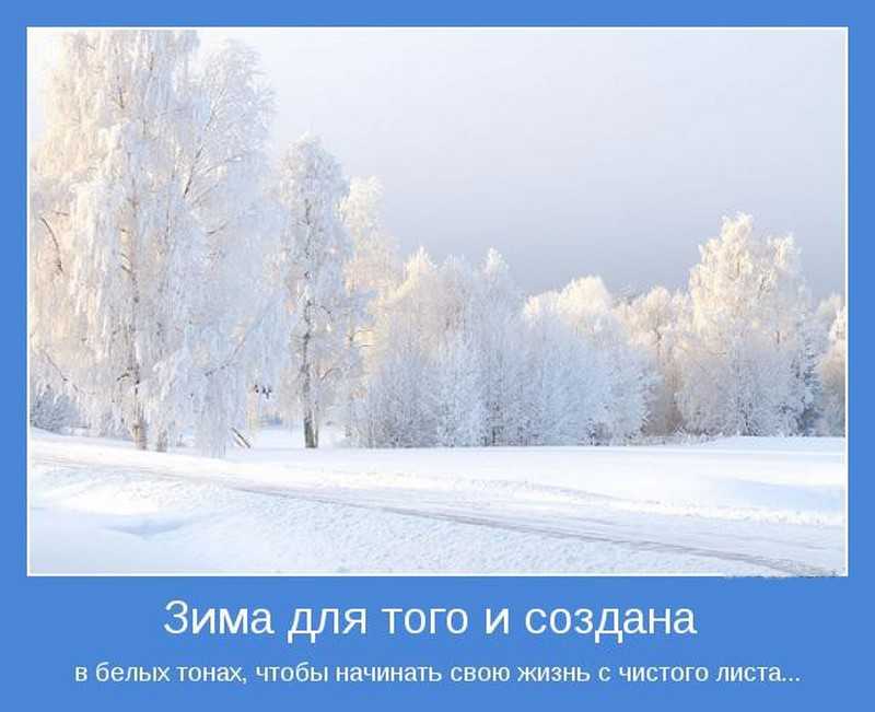 Коллекция подписей под фото с изображением зимы, для размещения в соцсетях и др подобных местах Красивые, забавные, романтичные, философские и др- на любой вкус